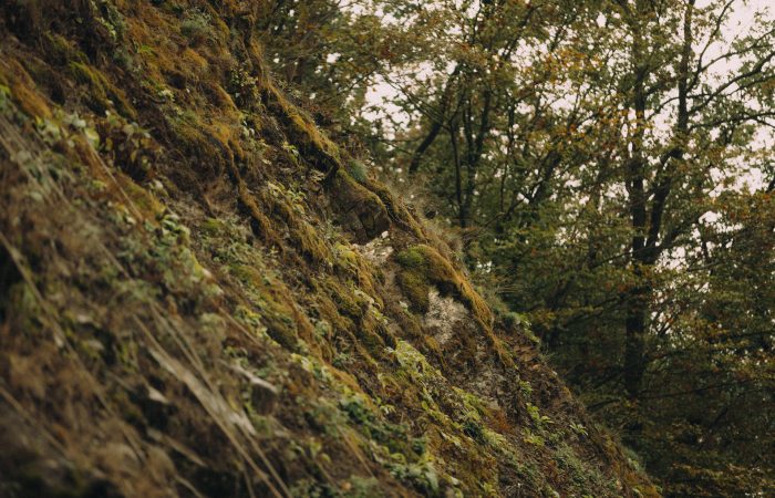 Gesicherte Felswand nach Böschungssicherung mit Schutznetz